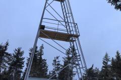 shared-image-10