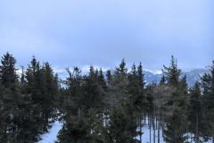 shared-image-11