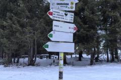 shared-image-6