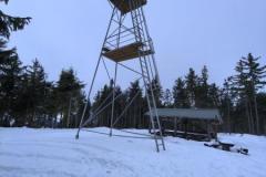 shared-image-8