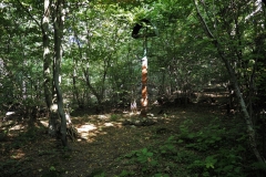 Sedlo pod Vysokou