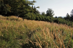 Červená značka