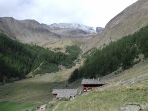 Ortler03