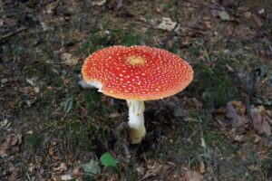 P9130123