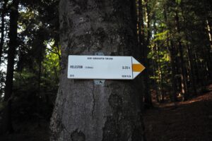 P9140325