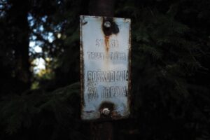 P9150426