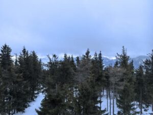 Shared image 11
