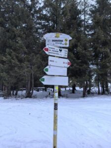 Shared image 6